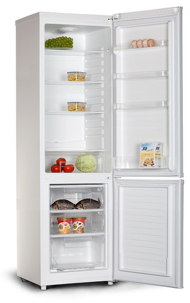 ECG ERB 21814 WA + freestanding 188L 64L A+ White fridge-freezer