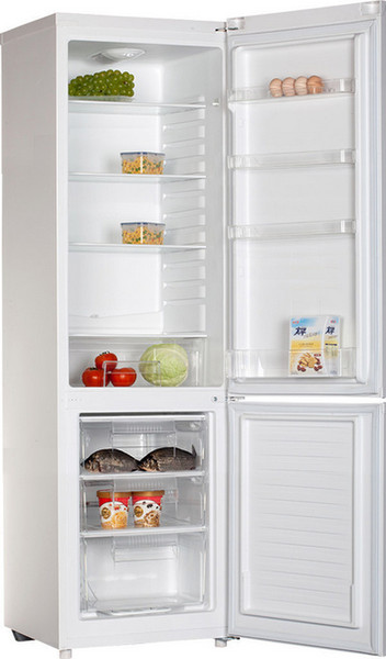 ECG ERB 21816 WA++ freestanding 188L 64L A++ White fridge-freezer