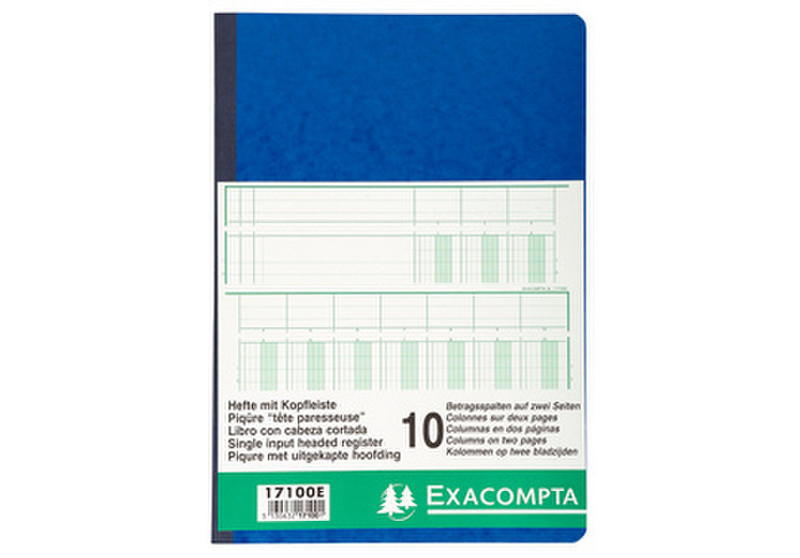 Exacompta 17100E accounting form/book
