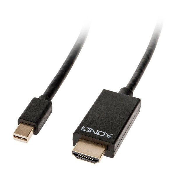 Lindy Mini DisplayPort/HDMI 0.5m