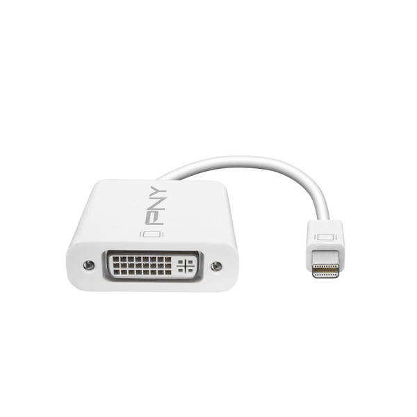 PNY Mini DisplayPort - DVI