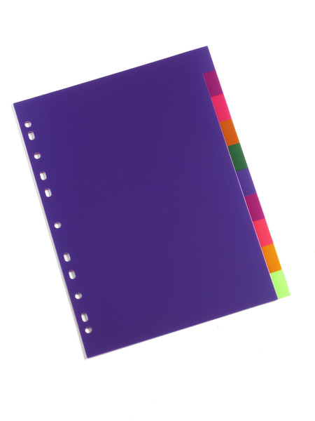 Rexel Translucent Polypropylene 10 Part Divider Multicolour