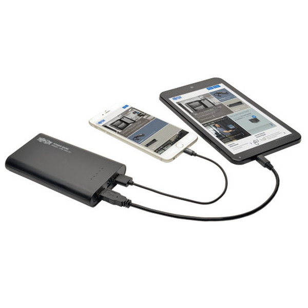 Tripp Lite Portable 12,000mAh Dual-Port Mobile Power Bank USB Battery Charger with LED Flashlight