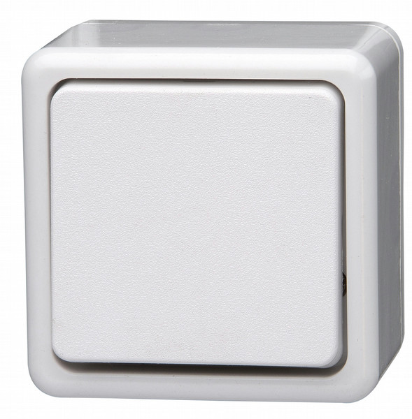 Kopp 513602005 White light switch