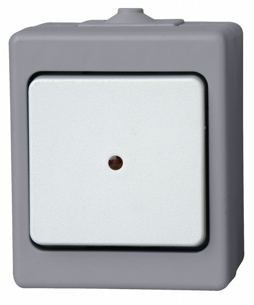 Kopp 564648005 Grey,White light switch