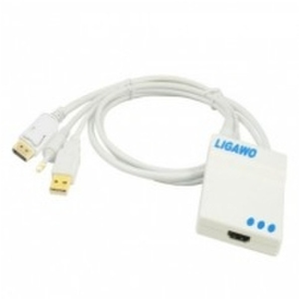 Ligawo 0.5m DP/HDMI