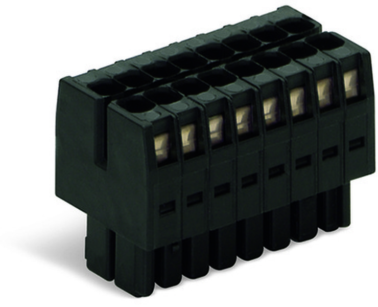 Wago 713-1105 10P Black electrical terminal block
