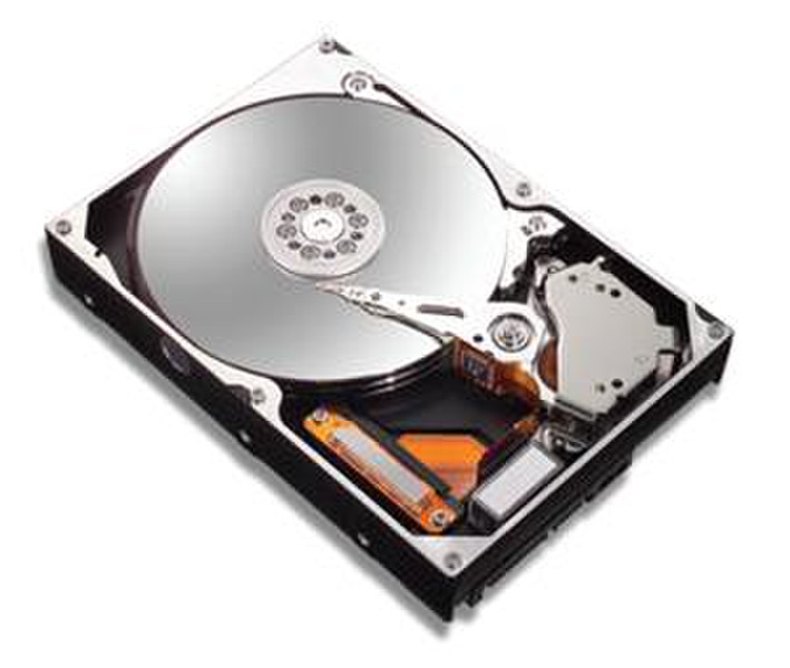 Seagate DiamondMax 300gb udma 133 7200 rpm 16mb(6L300R0) 300GB Ultra-ATA/133 Interne Festplatte