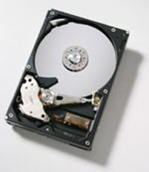 Hitachi Deskstar T7K250-250GB 250GB Ultra-ATA/133 internal hard drive