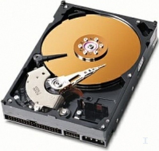 Western Digital CaviarSE 300GB 300GB EIDE/ATA internal hard drive