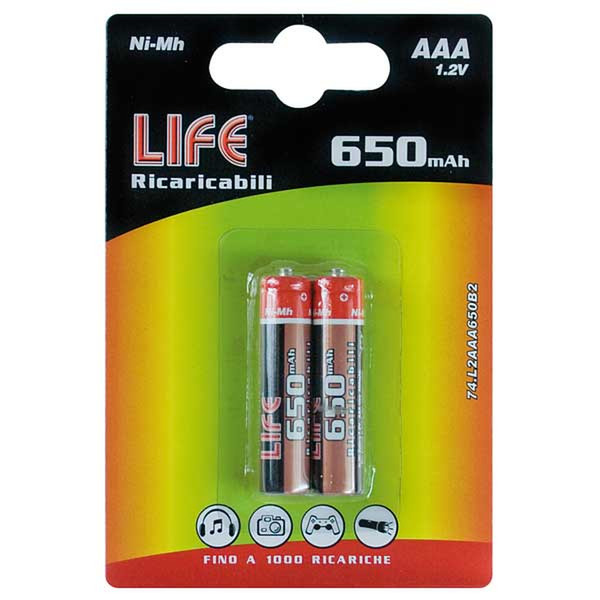 Life Electronics 74.W2AAA650B2 rechargeable battery