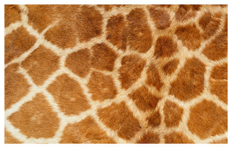 Wentronic Laptop Skin Giraffe