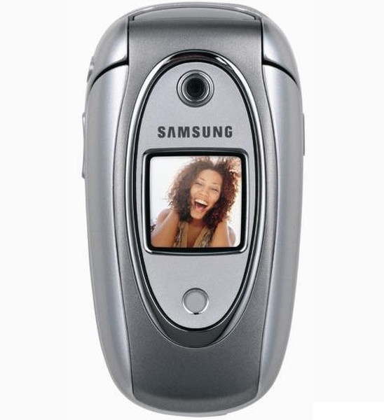 Samsung SGH-E330 85г Cеребряный