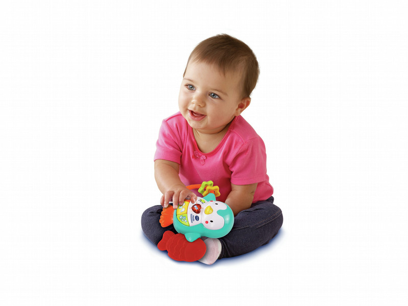 VTech Baby Pinguïn Rammelaar Junge/Mädchen Lernspielzeug