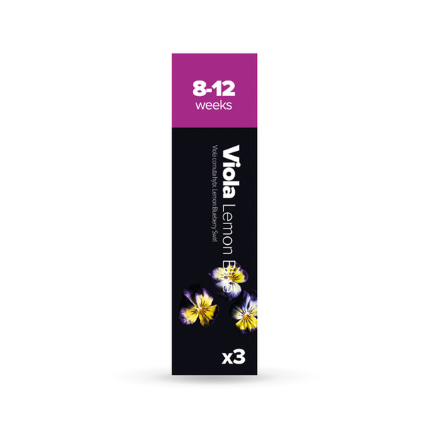 Plantui 6430054272834 3Stück(e) Viola (Lemon Blueberry) Nachfüllen Wachstums-Set & Nachfüller