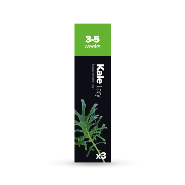 Plantui Kale Lacy 3pc(s) Refill