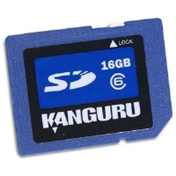 Kanguru 16GB SD Card 16GB SD MLC memory card