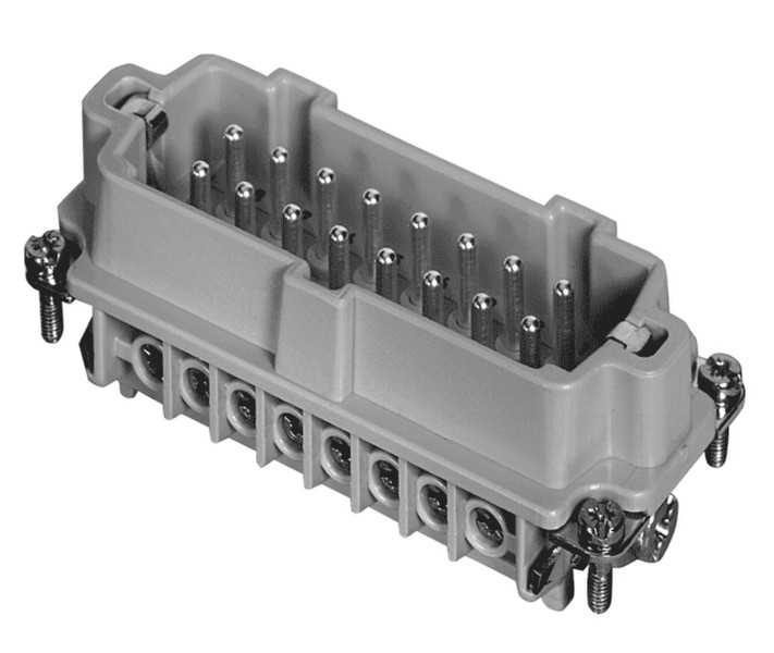 Amphenol C146 10A016 002 1 Elektrischer Standardverbindung