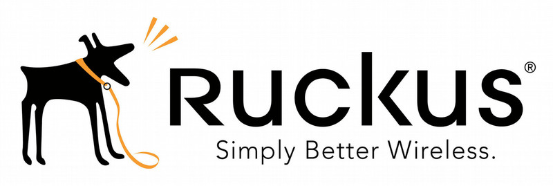 Ruckus Wireless 841-1025-1L00