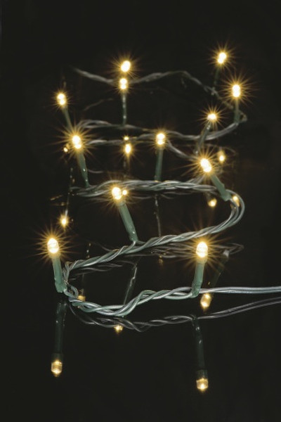 Elektro-Material DKL-260-01 Indoor/Outdoor 100lamps LED Green