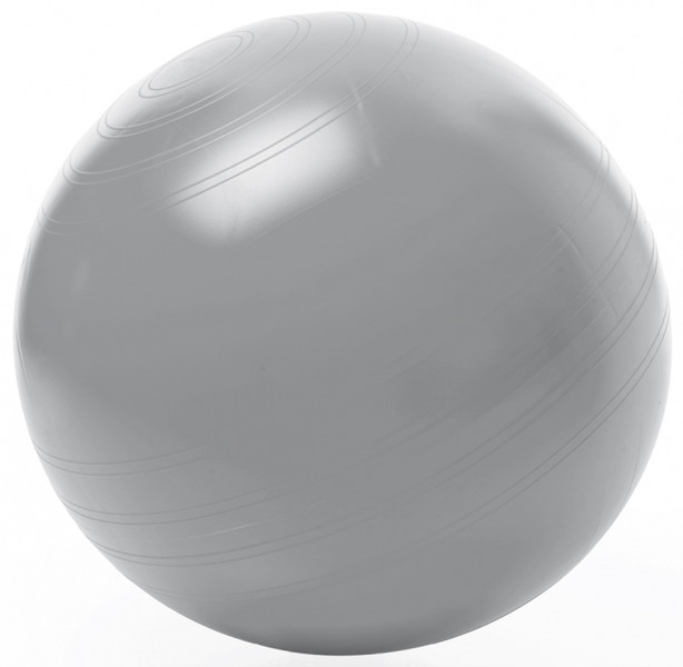 TOGU Sitzball ABS 450mm Silber Volle Größe Gymnastikball