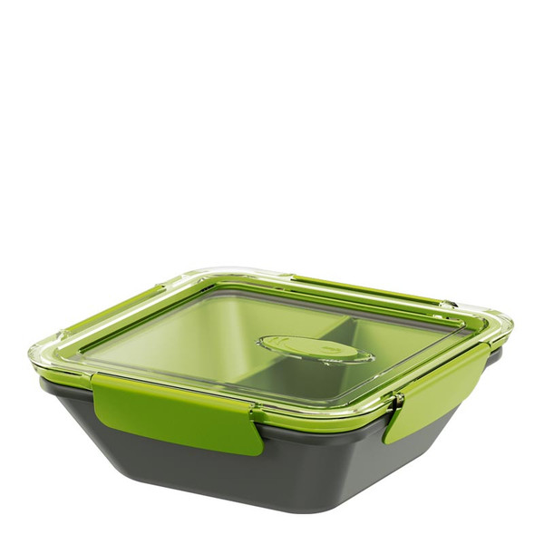 EMSA BENTO BOX Lunch container 0.5L Polypropylene (PP) Green,Grey