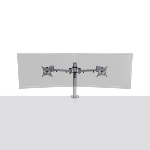 R-Go Tools Monitor arm Basic double (silver)