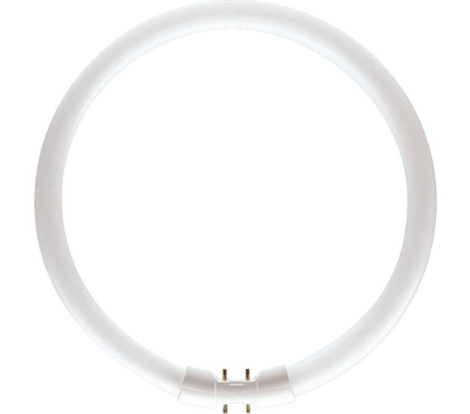 Philips MASTER TL5 Circular 22W 22.3Вт 2GX13 A Soft white