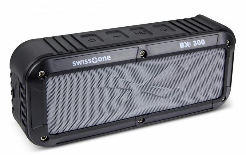 Swisstone BX 300