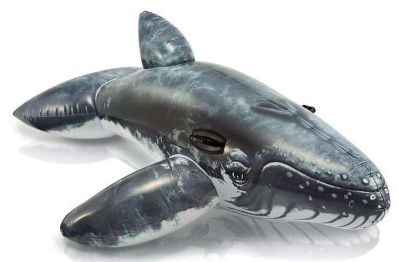 Intex Realistic Whale Ride-On Pool