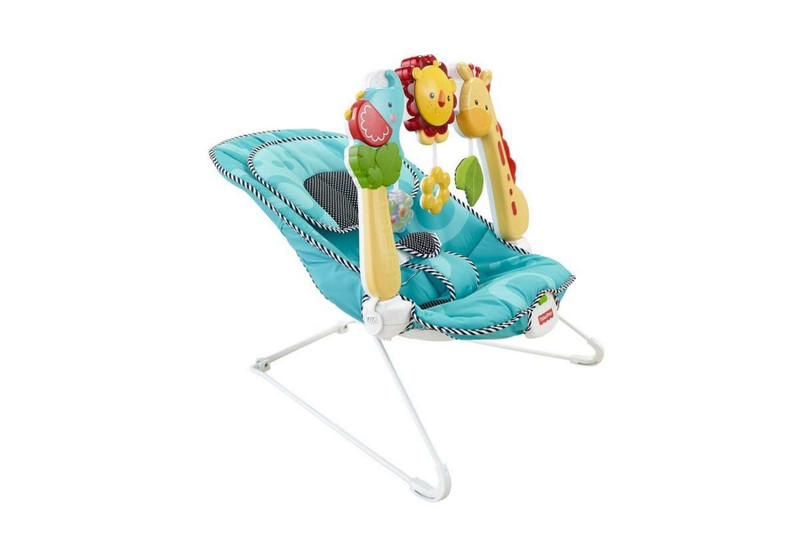 Fisher Price Everything Baby BFB14 Babyschaukel & -wippe