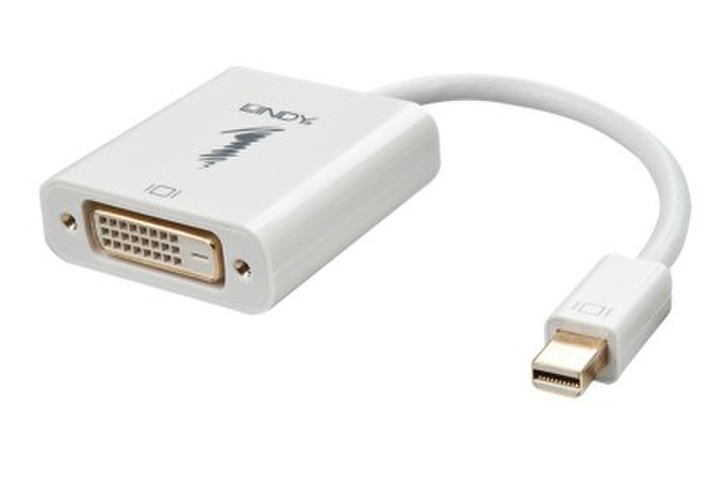 Lindy 41733 0.17m Mini DisplayPort DVI-D Videokabel-Adapter