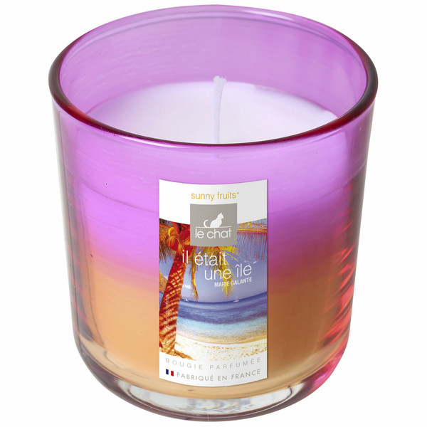 Denis & Fils 3112430096755 wax candle