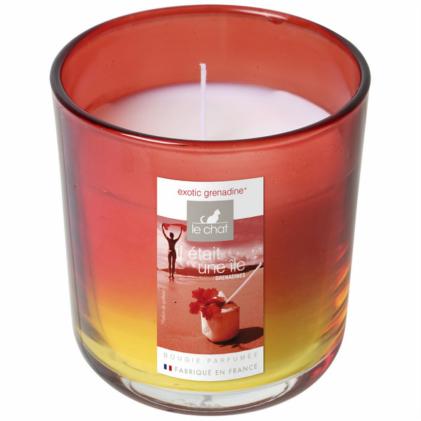 Denis & Fils 3112430096762 wax candle