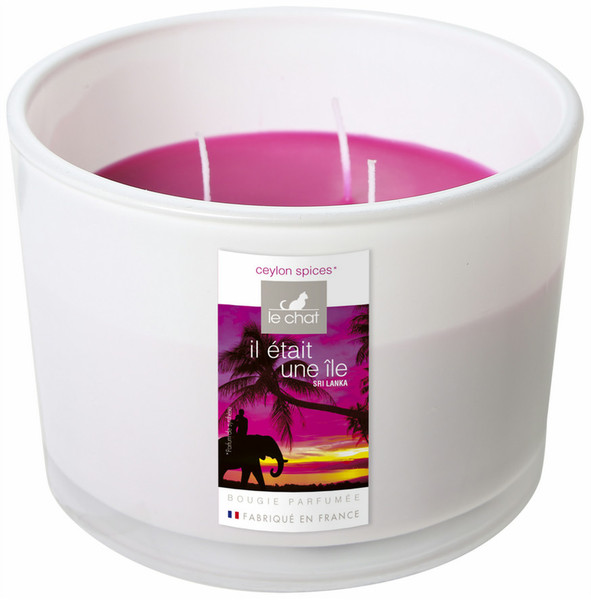 Denis & Fils 3112430096779 wax candle