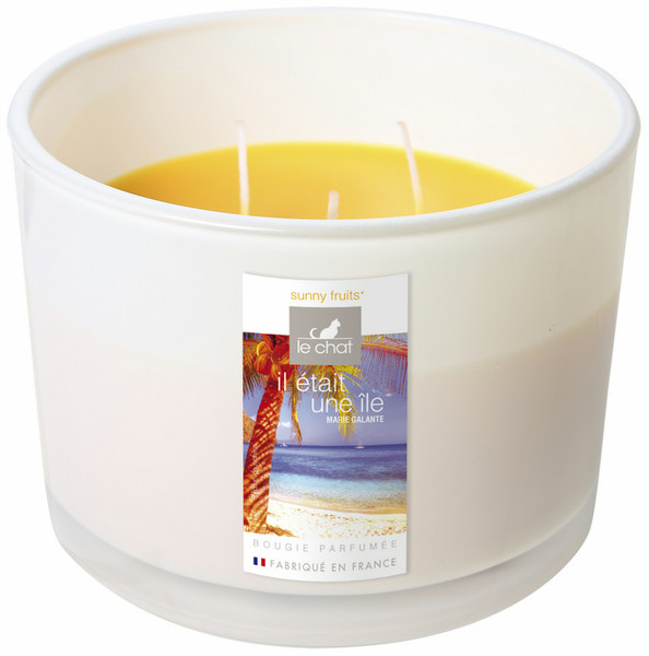 Denis & Fils 3112430096793 wax candle