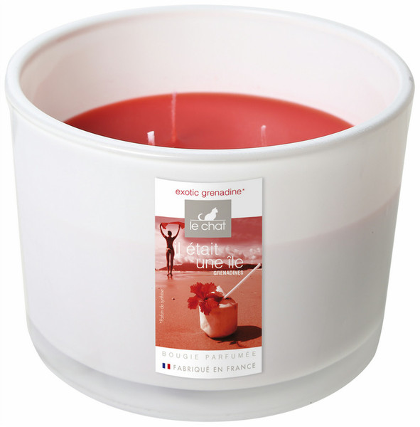 Denis & Fils 3112430096809 wax candle