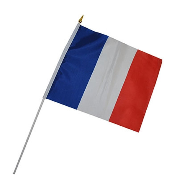 Funny Fashion Flag "France", 30 x 45 cm + stick