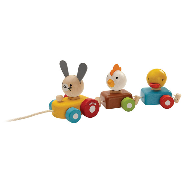 PlanToys Animal Train Sorter Multicolour push & pull toy
