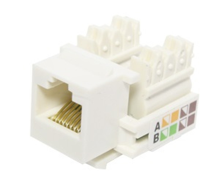 X-Case ACCREDKE04 RJ-45 White wire connector