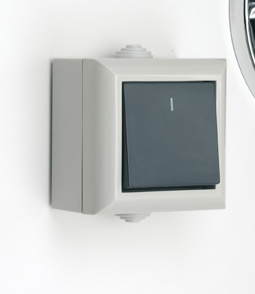 SMJ EP1G2P Black,White light switch