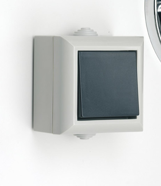SMJ EP1G2B Black,White light switch