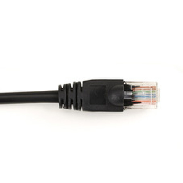 Black Box CAT6PC-050-BK networking cable