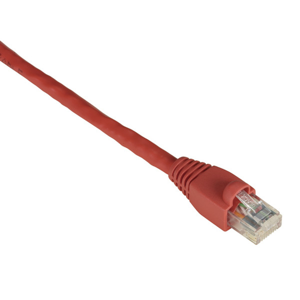 Black Box GigaTrue CAT6 UTP 1.2 m 1.2м Cat6 U/UTP (UTP) Красный сетевой кабель
