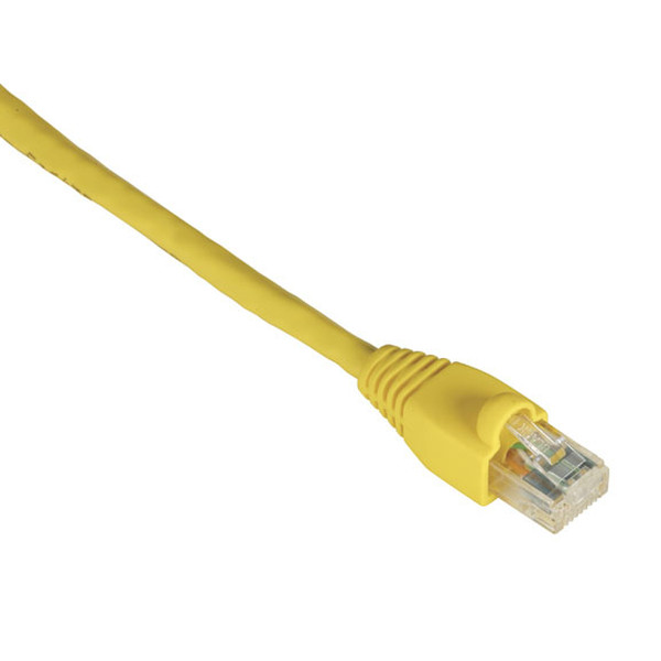 Black Box GigaTrue CAT6 UTP 6.0 m 6m Cat6 U/UTP (UTP) Yellow networking cable