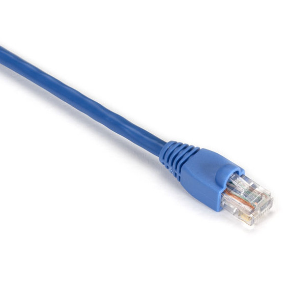 Black Box Cat5e UTP 0.6m 0.6м Cat5e U/UTP (UTP) Синий сетевой кабель