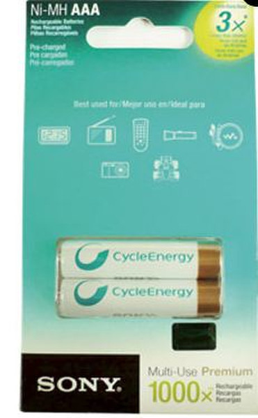 Data Components 010161 Nickel Metal Hydride 800mAh rechargeable battery