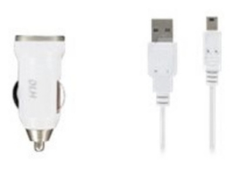 DLH DY-AU1874 Auto Silver,White mobile device charger