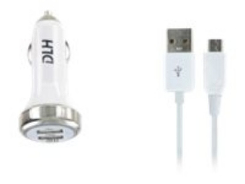 DLH DY-AU1805 Auto Silver,White mobile device charger