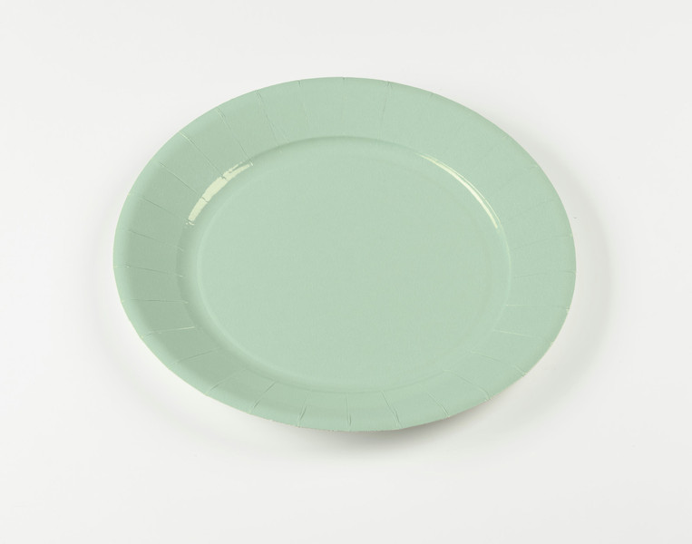 Carrefour Home 76273 Plate disposable plate/bowl
